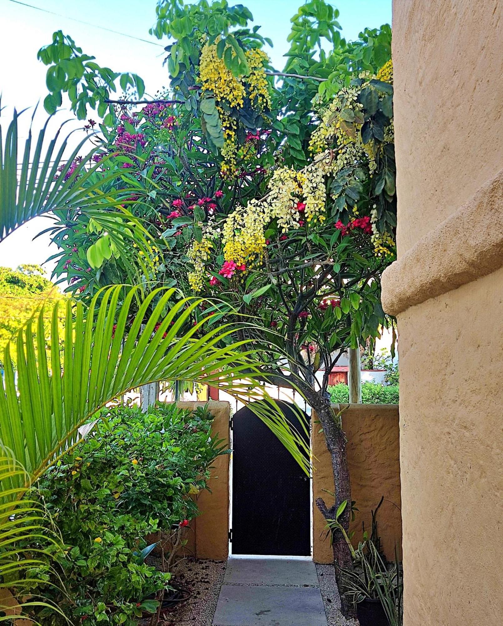 Studio Norte, Casa Brisamar Puerto Morelos Exterior photo